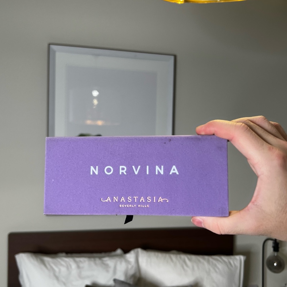 ABH NORVINA - Picture 2 of 2